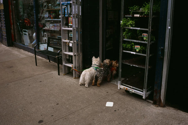Fujifilm Provia 100F