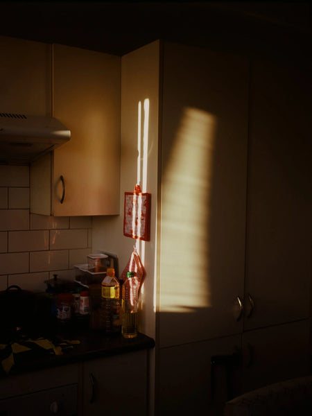 Fujifilm Provia 100F