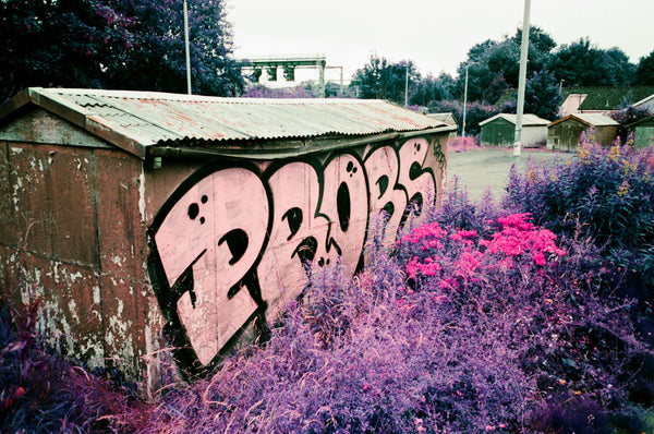 Lomography Lomochrome Purple XR 100-400