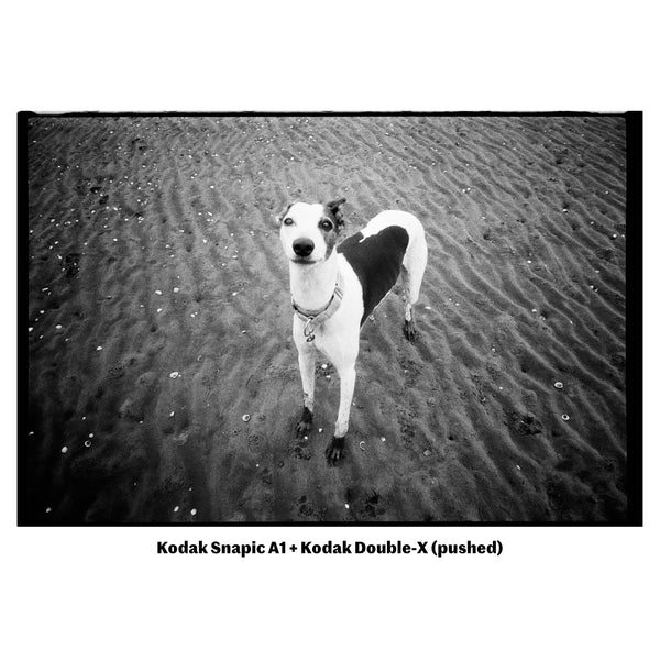 Kodak Snapic A1 Camera