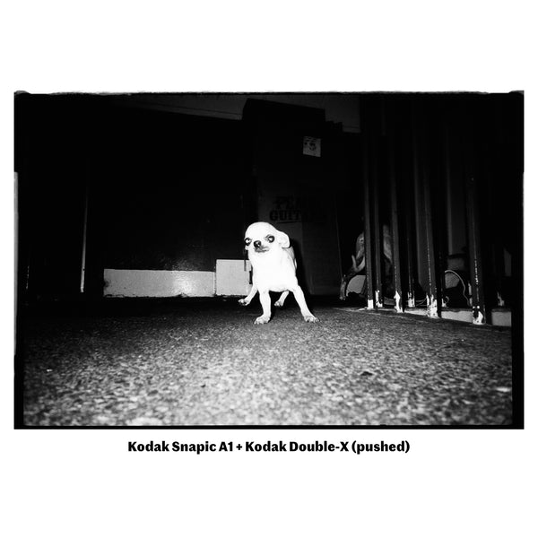 Kodak Snapic A1 Camera