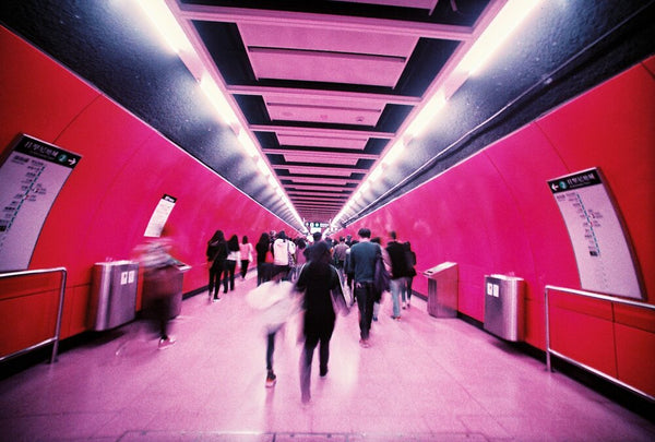 Lomography Lomochrome Purple XR 100-400